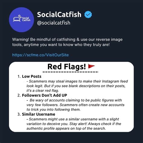 socialcatfish cancel